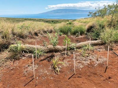 Mitigating land-based stressors to protect coral reefs